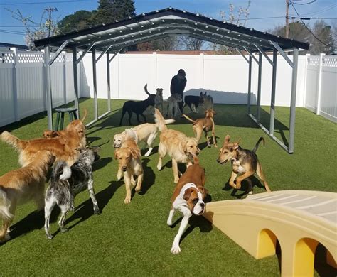 Dogs all day - 5 day pass: $165 10 day pass: $300 20 day pass: $560 50 day pass: $1250 *Packages are non-refundable . Boarding Rates – Includes Daycare: No additional daycare charges if dogs are picked up by 1pm. For boarding stays longer than 10 nights, please inquire about our special pricing. Luxury accommodation: $50 per night 